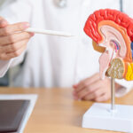 Una nuova speranza per i pazienti affetti da Alzheimer