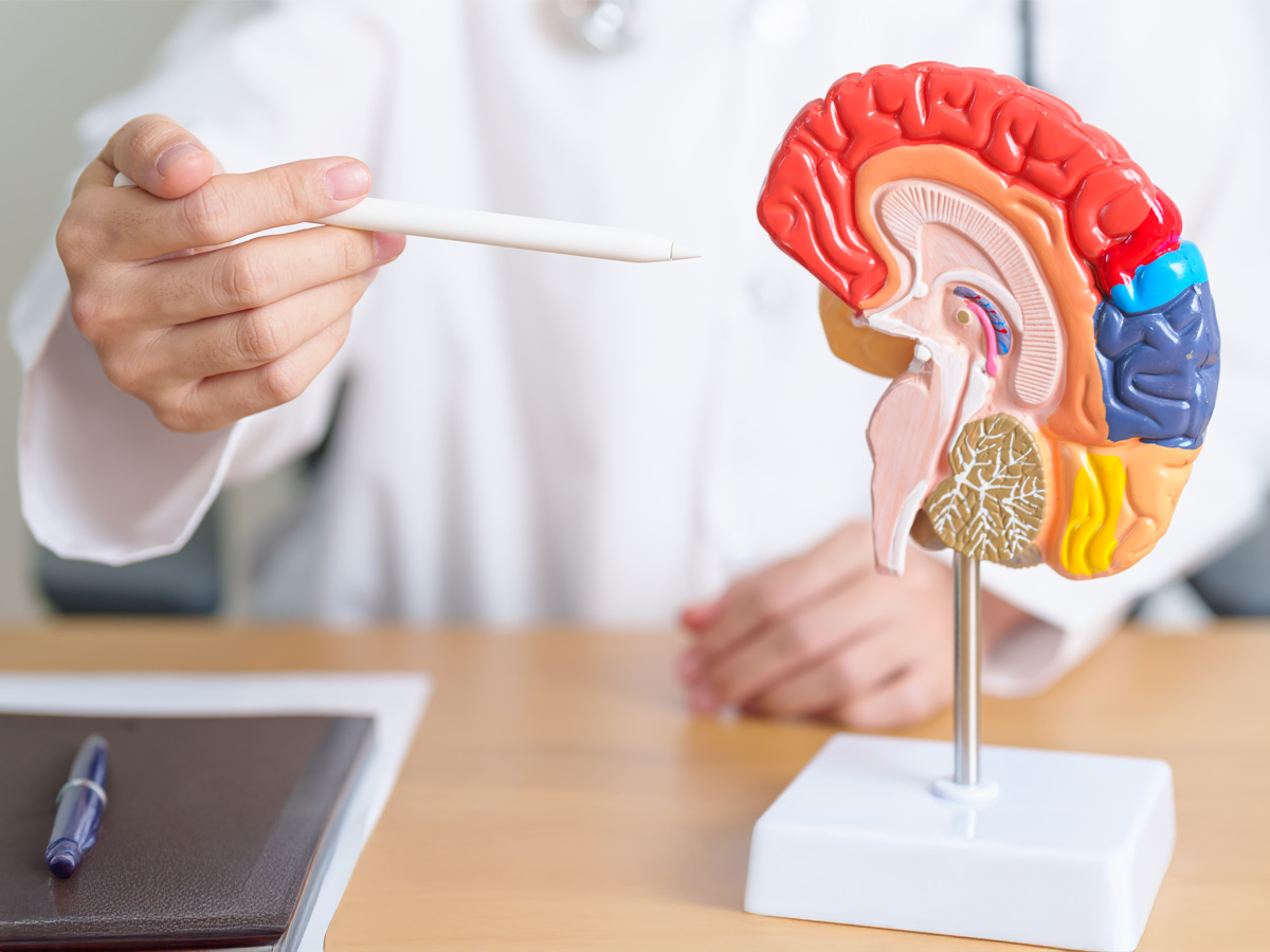 Al momento stai visualizzando Una nuova speranza per i pazienti affetti da Alzheimer